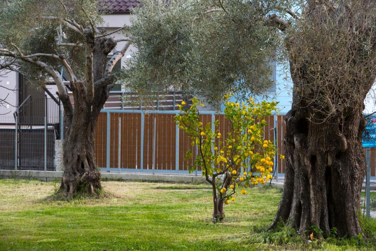 Kostas Studios Nydri  Buitenkant foto